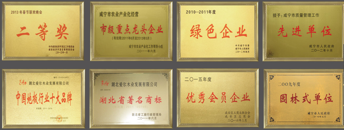 湖(hú)南(nán)地(dì)闆加盟