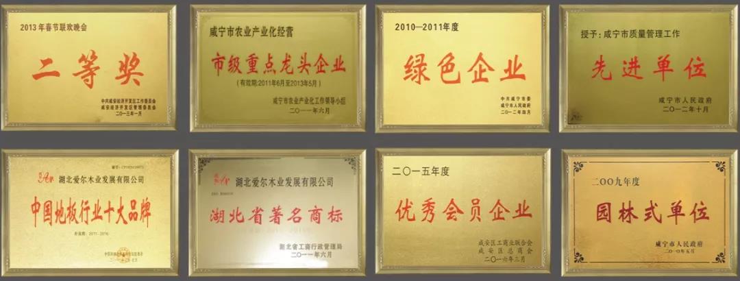 環保地(dì)闆品牌