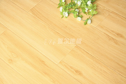 湖(hú)南(nán)流行(xíng)地(dì)闆品牌