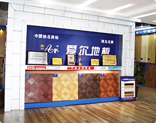 湖(hú)南(nán)地(dì)闆招商